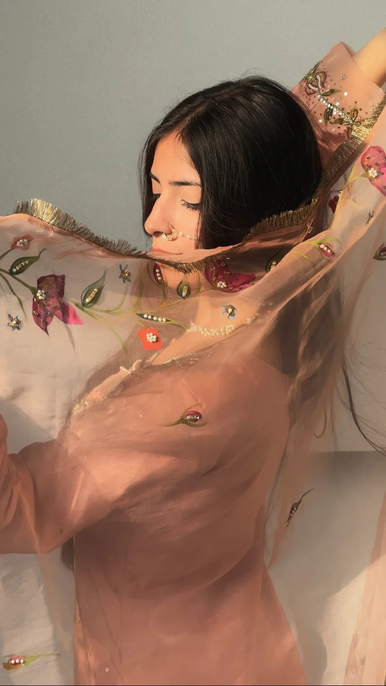 Peach Handpaint Dress Potli Stitched